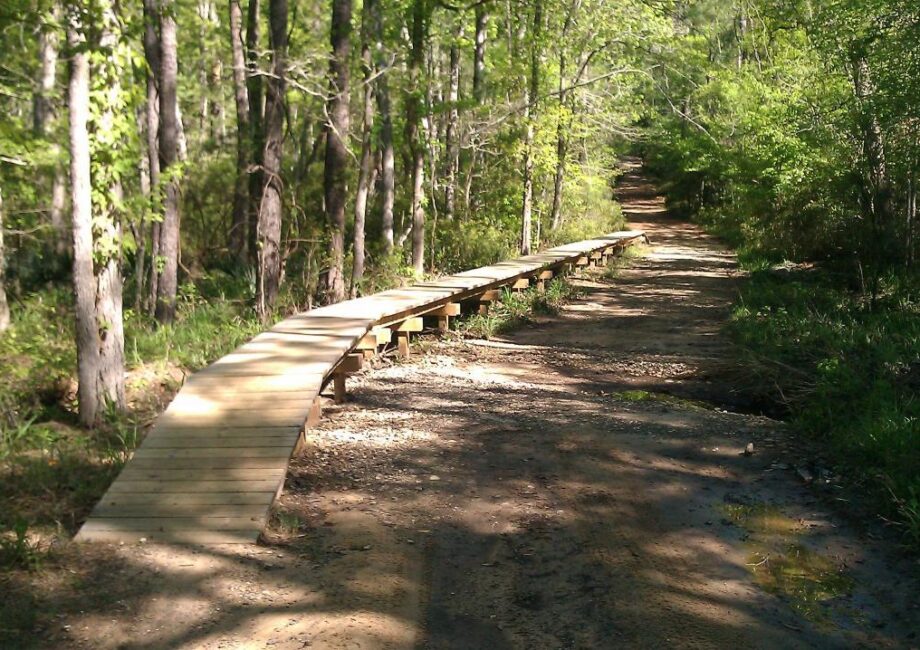 Local Activities,Huntsbville State Park Mountain Biking,Caddo Lake Kayaking,Lone Star Hiking Trail,East Texas Gator Park,First Monday Day Trades