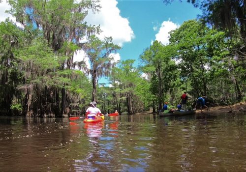 CADDO LAKE KAYAKING